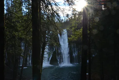 DSC_5930 (Large).JPG